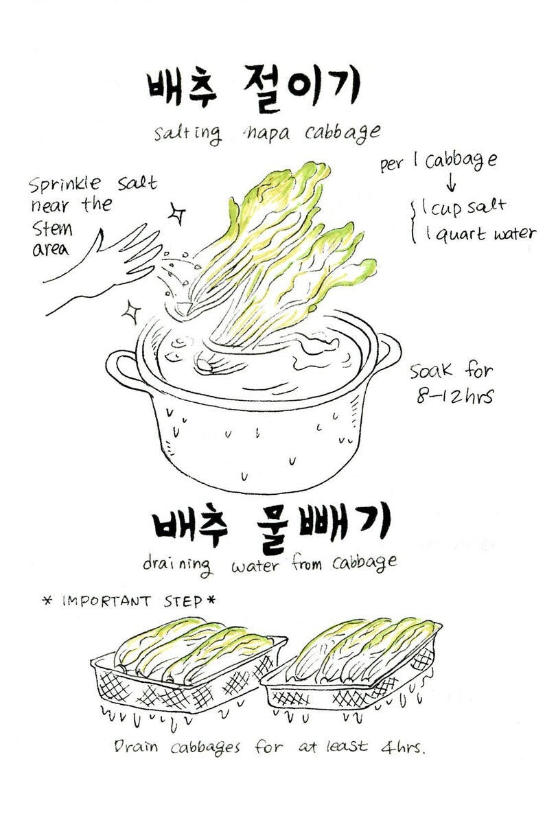 Kimchi ( 김치 ) Recipe Kitchen Towel & Comic Bundle
