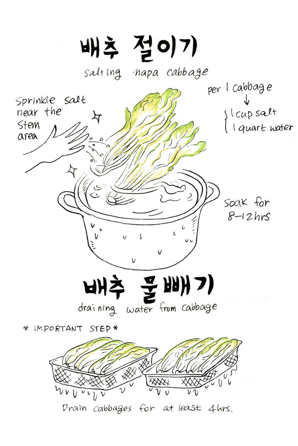 Korean American — Kimchi Story