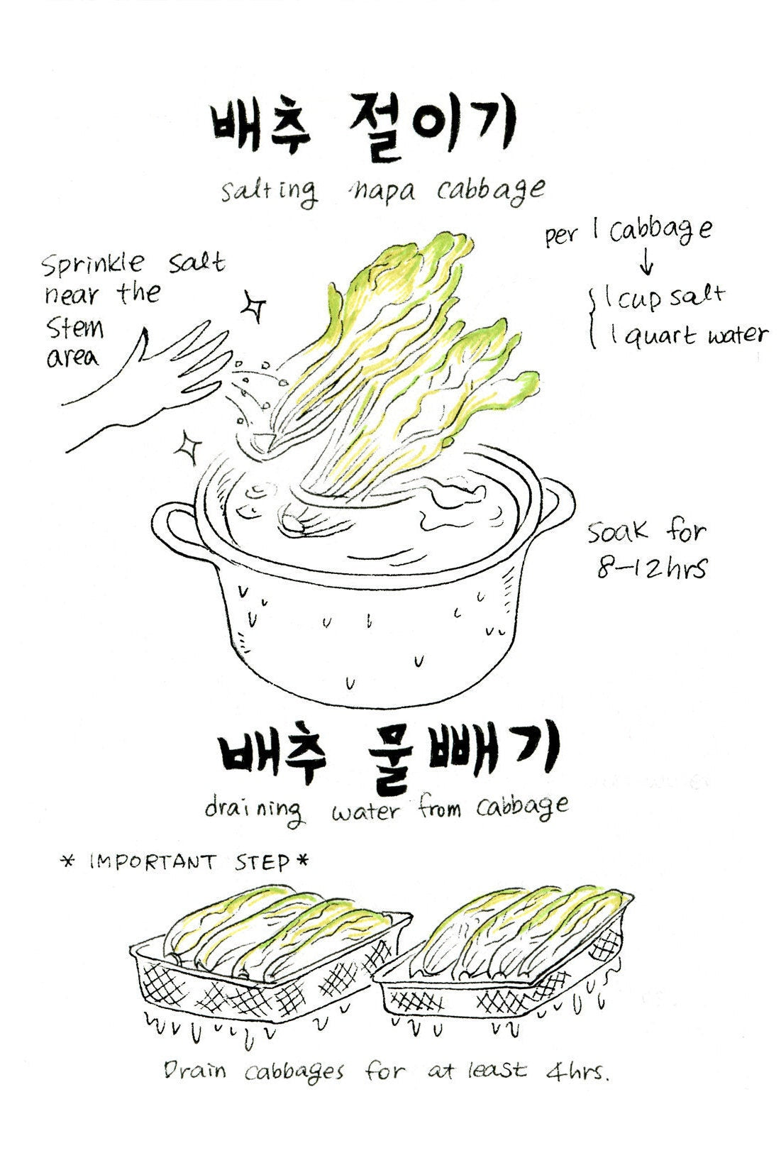 Korean American — Kimchi Story