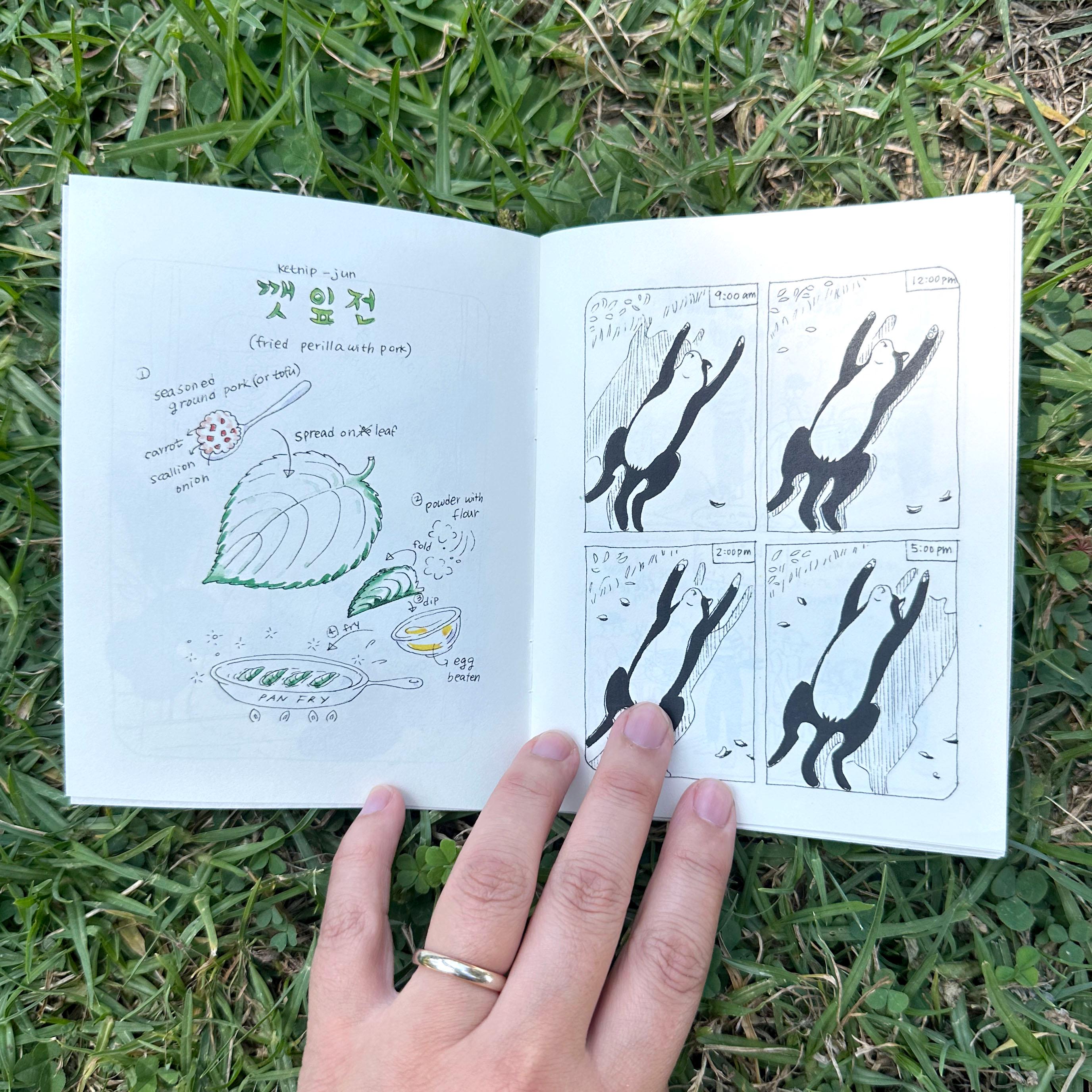 Korean American Cooking Comics - Garden